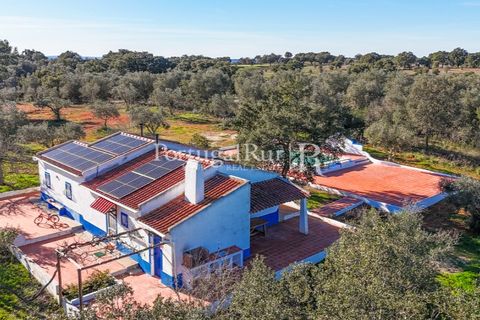 Farm hus i Mora, Evora, Mora - € 420.000 | Ref: FG816 - foto 22