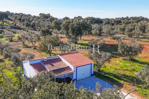 Farm hus i Mora, Evora, Mora - € 420.000 | Ref: FG816 - foto 24