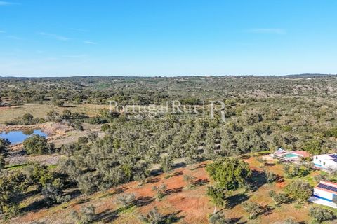 Farm hus i Mora, Evora, Mora - € 420.000 | Ref: FG816 - foto 26