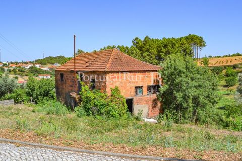 Landejendom i Proenca-a-Nova, Castelo Branco, Proenca-a-Nova - € 23.500 | Ref: SA586 - foto 3