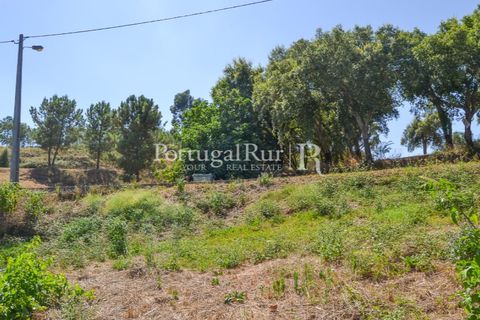 Landejendom i Proenca-a-Nova, Castelo Branco, Proenca-a-Nova - € 23.500 | Ref: SA586 - foto 4