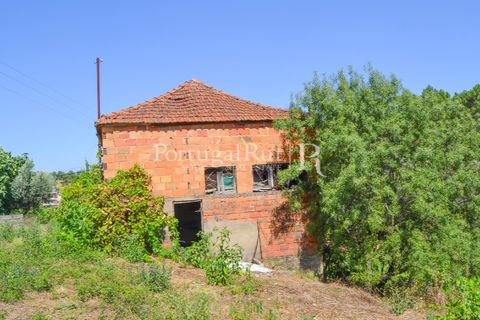 Landejendom i Proenca-a-Nova, Castelo Branco, Proenca-a-Nova - € 23.500 | Ref: SA586 - foto 5