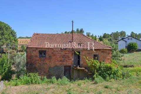 Landejendom i Proenca-a-Nova, Castelo Branco, Proenca-a-Nova - € 23.500 | Ref: SA586 - foto 6