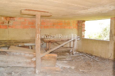 Landejendom i Proenca-a-Nova, Castelo Branco, Proenca-a-Nova - € 23.500 | Ref: SA586 - foto 7