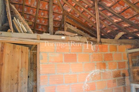 Landejendom i Proenca-a-Nova, Castelo Branco, Proenca-a-Nova - € 23.500 | Ref: SA586 - foto 9