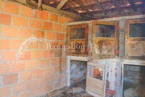 Landejendom i Proenca-a-Nova, Castelo Branco, Proenca-a-Nova - € 23.500 | Ref: SA586 - foto 10
