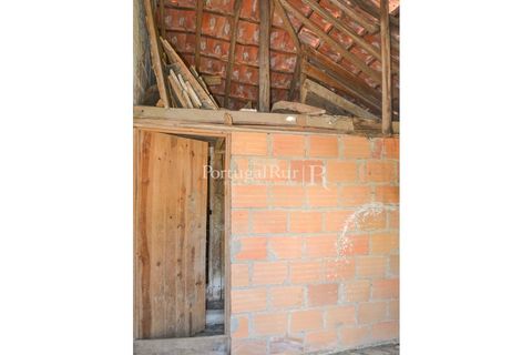 Landejendom i Proenca-a-Nova, Castelo Branco, Proenca-a-Nova - € 23.500 | Ref: SA586 - foto 11