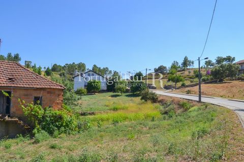 Landejendom i Proenca-a-Nova, Castelo Branco, Proenca-a-Nova - € 23.500 | Ref: SA586 - foto 12