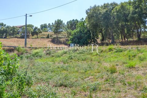 Landejendom i Proenca-a-Nova, Castelo Branco, Proenca-a-Nova - € 23.500 | Ref: SA586 - foto 13
