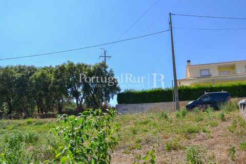 Landejendom i Proenca-a-Nova, Castelo Branco, Proenca-a-Nova - € 23.500 | Ref: SA586 - foto 14