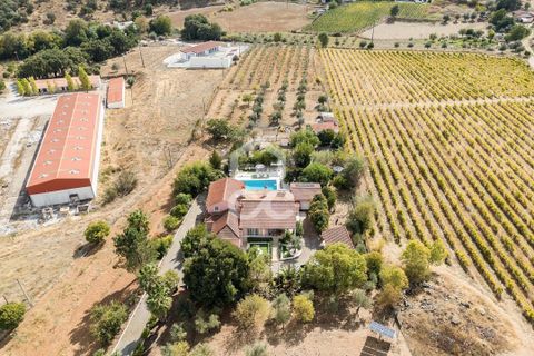Farm hus i Borba, Evora, Borba - € 1.100.000 | Ref: 318/Q/03688 - foto 3