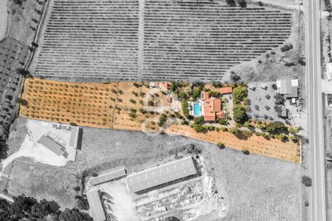 Farm hus i Borba, Evora, Borba - € 1.100.000 | Ref: 318/Q/03688 - foto 4