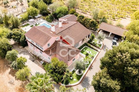 Farm hus i Borba, Evora, Borba - € 1.100.000 | Ref: 318/Q/03688 - foto 6