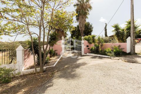 Farm hus i Borba, Evora, Borba - € 1.100.000 | Ref: 318/Q/03688 - foto 45