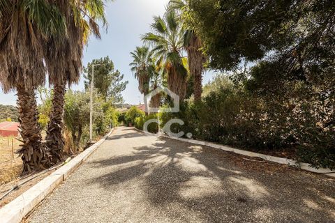 Farm hus i Borba, Evora, Borba - € 1.100.000 | Ref: 318/Q/03688 - foto 47