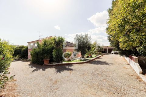 Farm hus i Borba, Evora, Borba - € 1.100.000 | Ref: 318/Q/03688 - foto 48