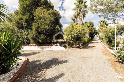 Farm hus i Borba, Evora, Borba - € 1.100.000 | Ref: 318/Q/03688 - foto 49