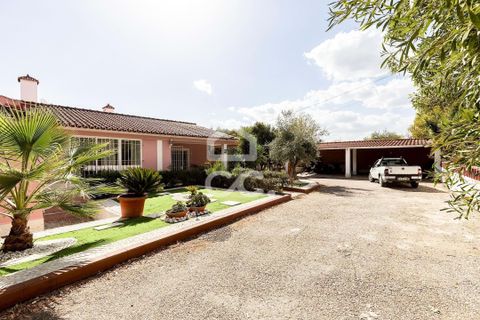 Farm hus i Borba, Evora, Borba - € 1.100.000 | Ref: 318/Q/03688 - foto 50