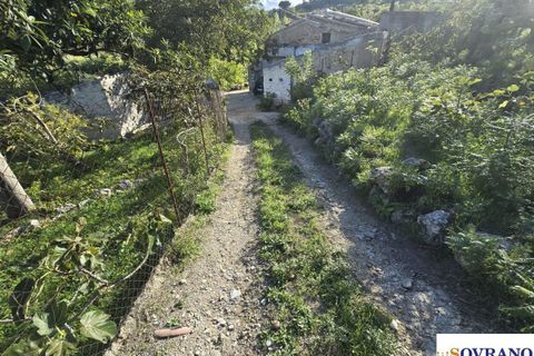 Terra a Monreale, Palermo, Monreale - € 15.000 | Ref: 137/25 - foto 2