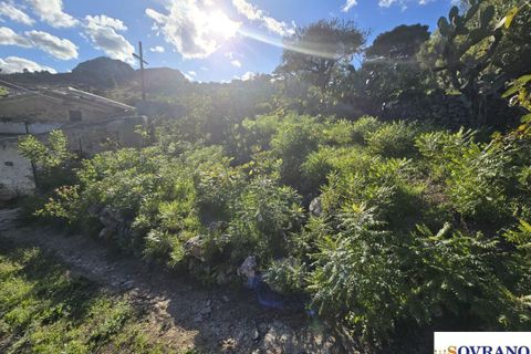 Terra a Monreale, Palermo, Monreale - € 15.000 | Ref: 137/25 - foto 3