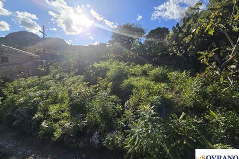 Terra a Monreale, Palermo, Monreale - € 15.000 | Ref: 137/25 - foto 4