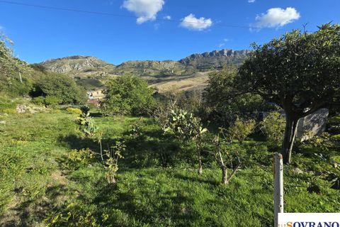 Terra a Monreale, Palermo, Monreale - € 15.000 | Ref: 137/25 - foto 5