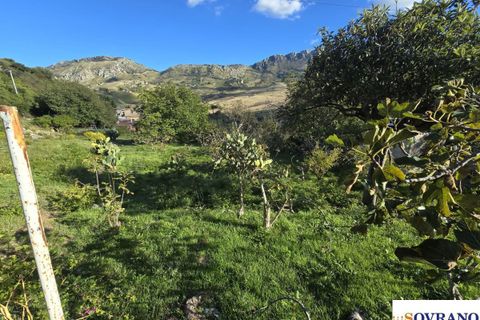 Terra a Monreale, Palermo, Monreale - € 15.000 | Ref: 137/25 - foto 6