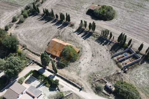 Terra a Sassari, Sassari, Sassari - € 139.000 | Ref: 13848 - foto 2