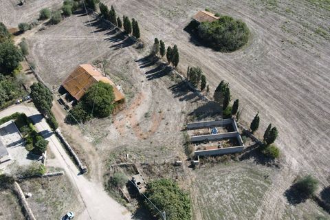 Terra a Sassari, Sassari, Sassari - € 139.000 | Ref: 13848 - foto 3