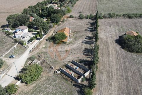 Terra a Sassari, Sassari, Sassari - € 139.000 | Ref: 13848 - foto 4