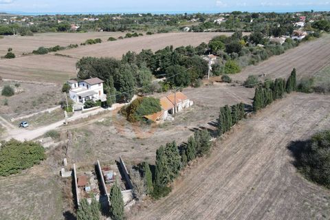 Terra a Sassari, Sassari, Sassari - € 139.000 | Ref: 13848 - foto 6