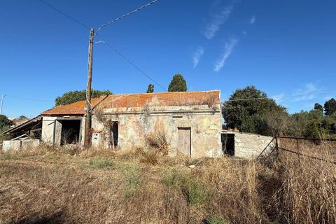 Terra a Sassari, Sassari, Sassari - € 139.000 | Ref: 13848 - foto 9