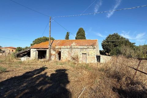 Terra a Sassari, Sassari, Sassari - € 139.000 | Ref: 13848 - foto 15