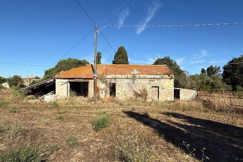 Terra a Sassari, Sassari, Sassari - € 139.000 | Ref: 13848 - foto 18