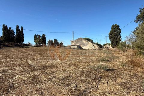 Terra a Sassari, Sassari, Sassari - € 139.000 | Ref: 13848 - foto 20
