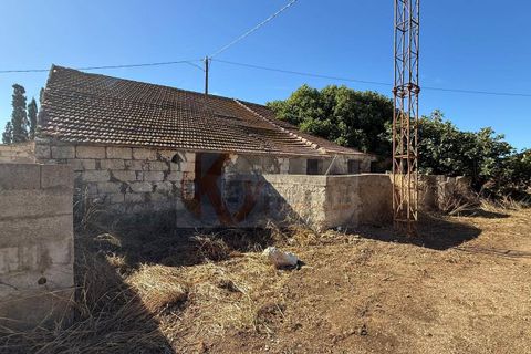Terra a Sassari, Sassari, Sassari - € 139.000 | Ref: 13848 - foto 21