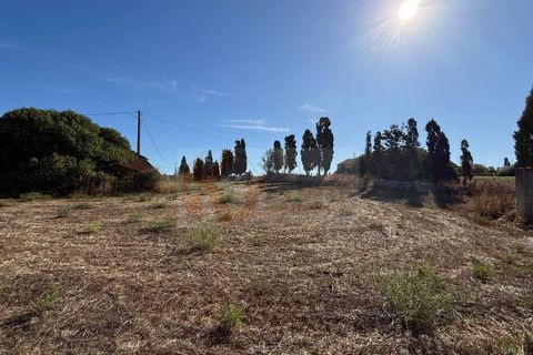 Terra a Sassari, Sassari, Sassari - € 139.000 | Ref: 13848 - foto 30
