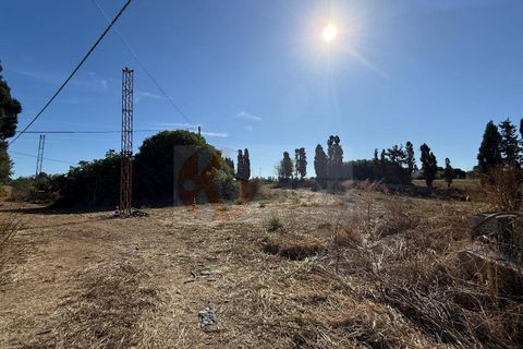 Terra a Sassari, Sassari, Sassari - € 139.000 | Ref: 13848 - foto 31