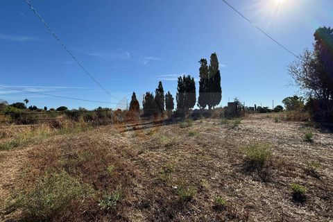 Terra a Sassari, Sassari, Sassari - € 139.000 | Ref: 13848 - foto 32