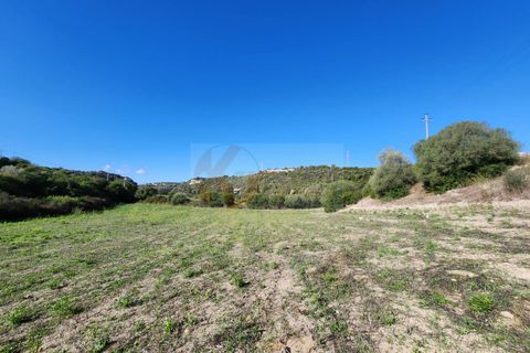 Terra a Sassari, Sassari, Sassari - € 30.000 | Ref: 13849 - foto 2