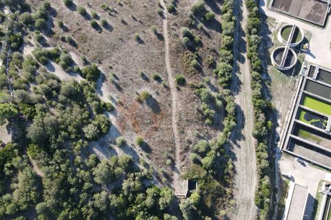 Terra a Sassari, Sassari, Sassari - € 30.000 | Ref: 13849 - foto 6