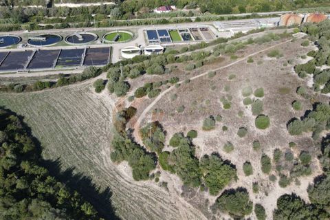 Terra a Sassari, Sassari, Sassari - € 30.000 | Ref: 13849 - foto 8