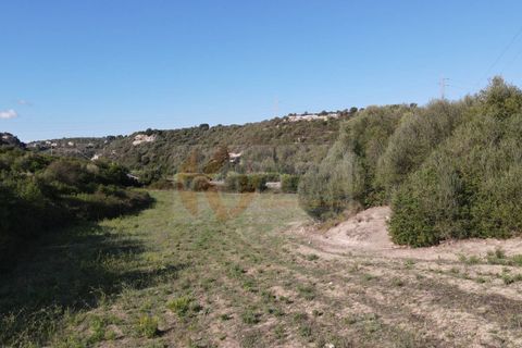Terra a Sassari, Sassari, Sassari - € 30.000 | Ref: 13849 - foto 9