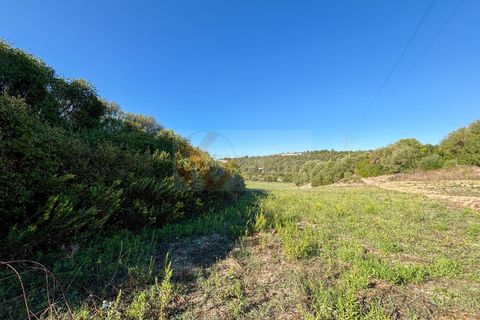 Terra a Sassari, Sassari, Sassari - € 30.000 | Ref: 13849 - foto 10