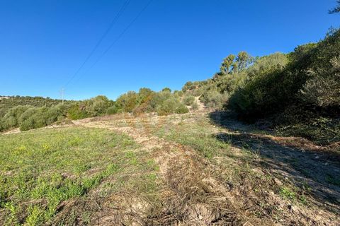 Terra a Sassari, Sassari, Sassari - € 30.000 | Ref: 13849 - foto 11
