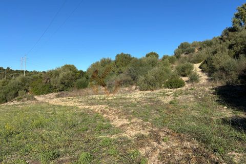 Terra a Sassari, Sassari, Sassari - € 30.000 | Ref: 13849 - foto 12