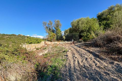 Terra a Sassari, Sassari, Sassari - € 30.000 | Ref: 13849 - foto 13