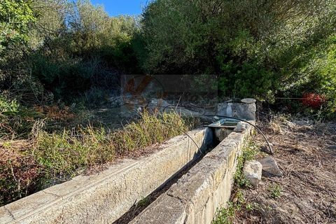 Terra a Sassari, Sassari, Sassari - € 30.000 | Ref: 13849 - foto 14
