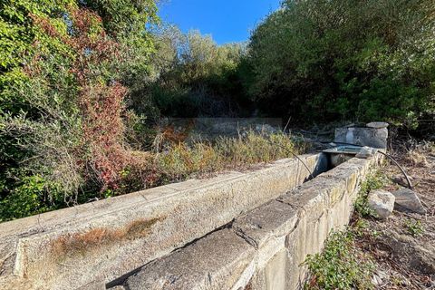 Terra a Sassari, Sassari, Sassari - € 30.000 | Ref: 13849 - foto 15