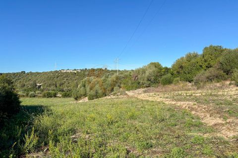 Terra a Sassari, Sassari, Sassari - € 30.000 | Ref: 13849 - foto 18